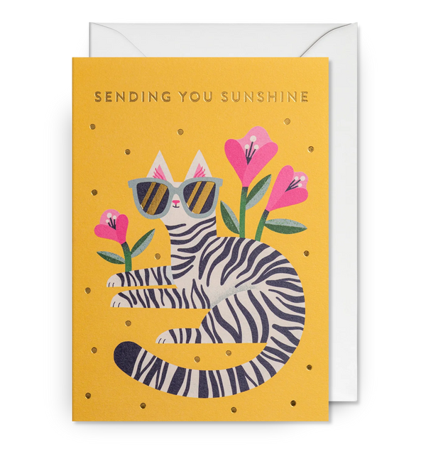 Sending You Sunshine Stylish Cat Card