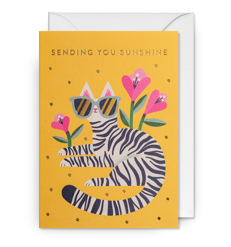 Sending You Sunshine Stylish Cat Card