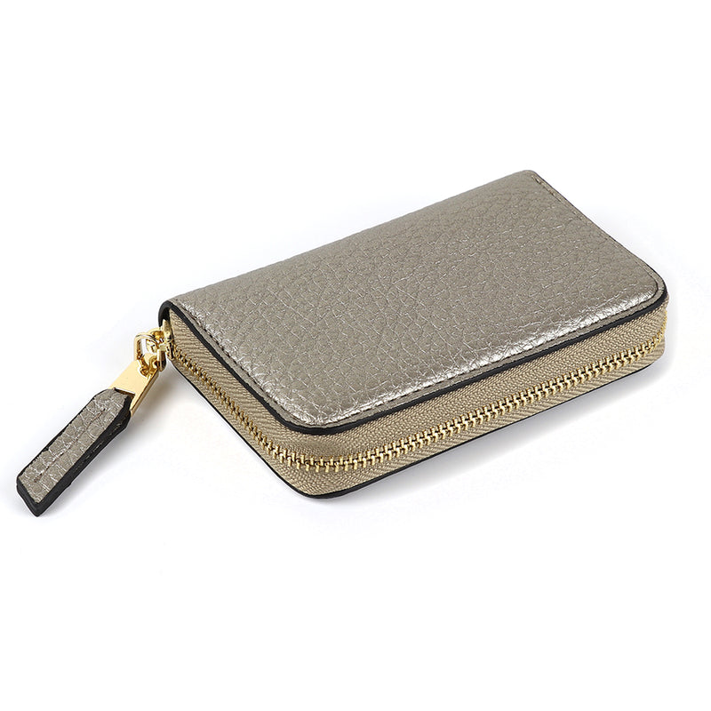 Metallic Mini Purse