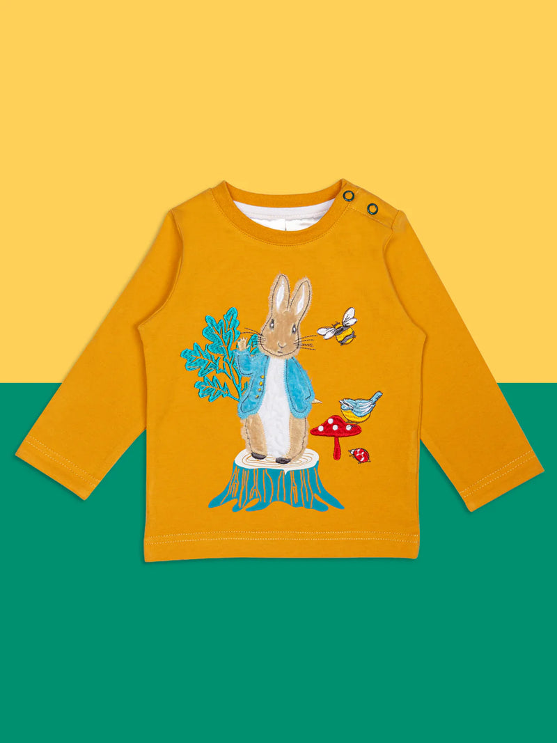 Peter Rabbit Woodland Top