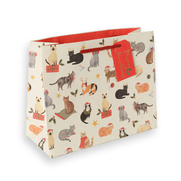 Santa Paws Landscape Gift Bag - Medium