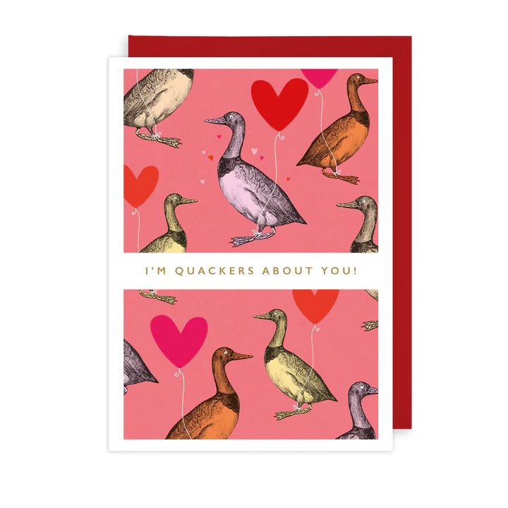 Duck Quackers Valentine's Day Card