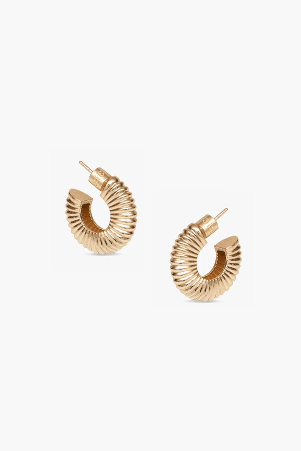 Sunlit Earrings - Gold