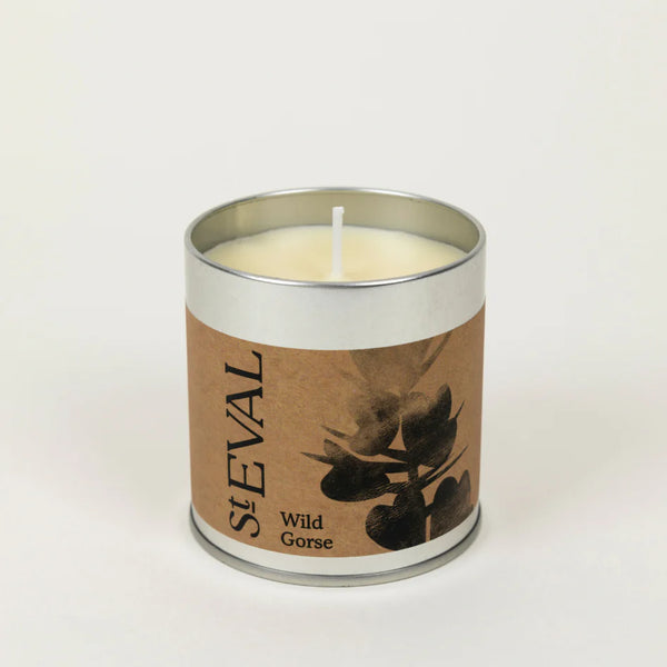 Wild Gorse Tin Candle