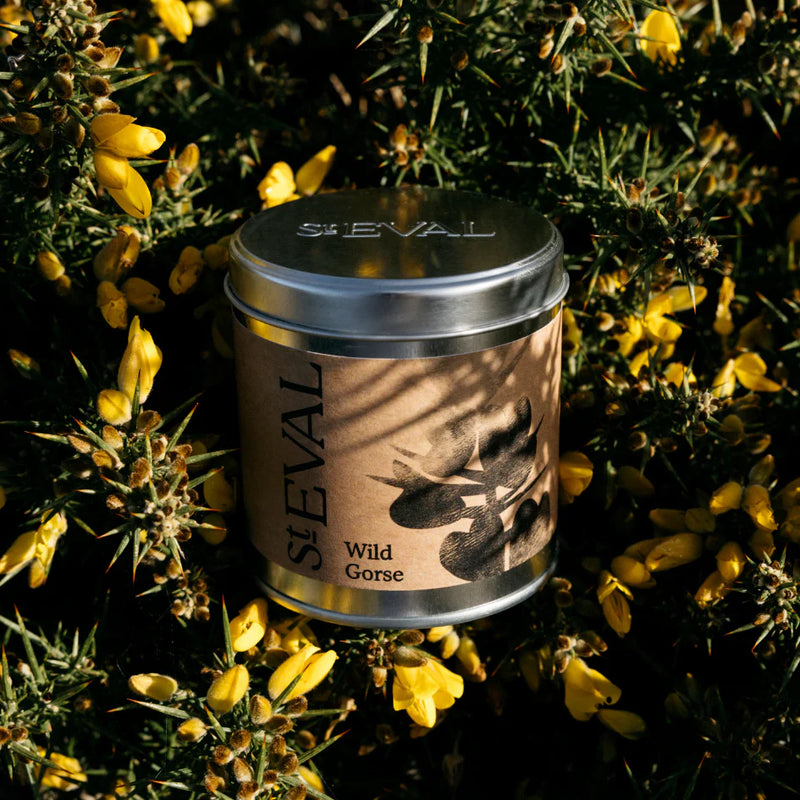 Wild Gorse Tin Candle