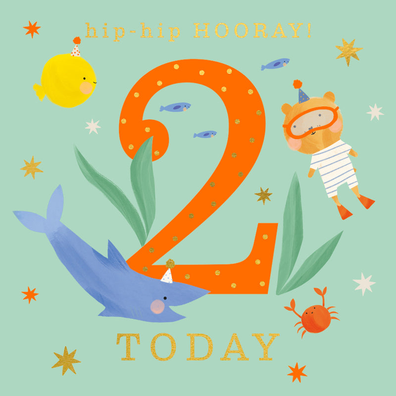 Underwater Diving 2nd Birthday Card