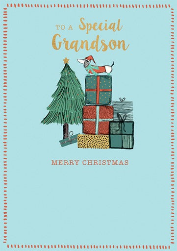 To A Special Grandson Card